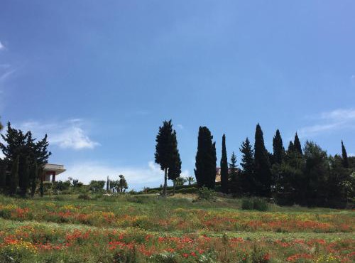 Picturesque Villa in Sciacca with Sea View and Garden