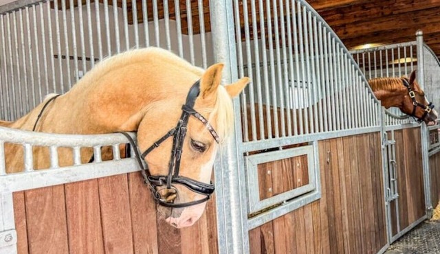 Quietly located vacation villa for horse lovers in Gumprechtsberg