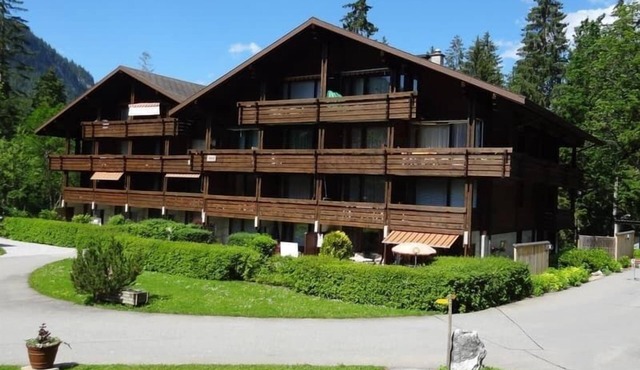 Resort Studio|Balcony View nextGondola+BBQ+Parking in Diemtigen