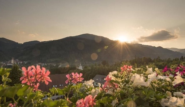 Room 4 | Gelbes Herzerl (1-2 nights) - Kleinhofers Himbeernest in Baierdorf-Dorf