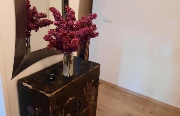 Schöne Wohnung in der Grazer Innenstadt in Graz
