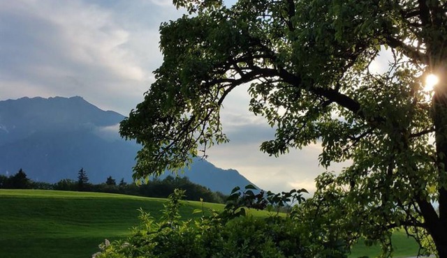 Single room with shower, WC - Angerer, Inn in Oberalm