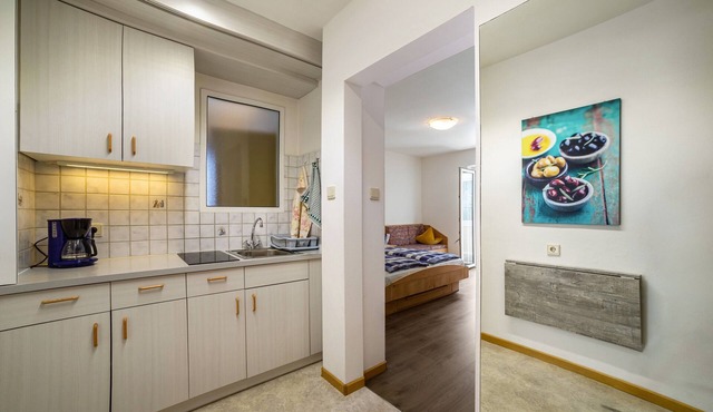 Studio Apartment 'Apartment Typ C Haus Pöder' with Mountain View in Naturno