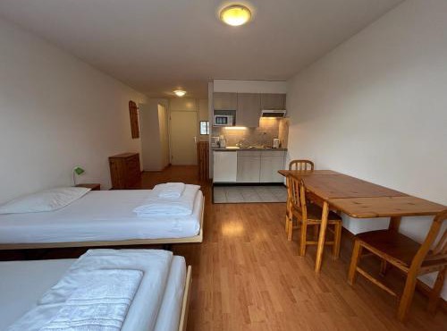 Studio for 2 people with parking in Vionnaz