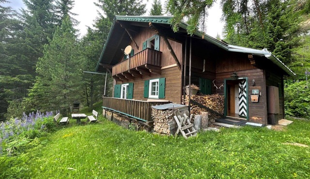Stunning private villa for 8 people with TV, patio, pets allowed, panoramic view and parking in Obernussdorf