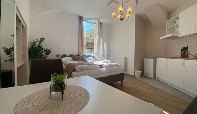 Trendy Studio Prime Location w/kitchenette & TV in Vienna