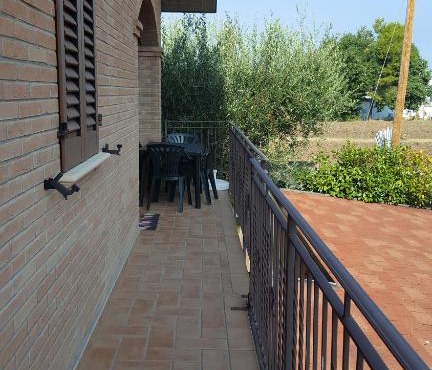 Tulipano Appartamenti in Marotta