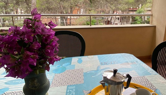 TWO-ROOM AIR-CONDITIONED APARTMENT 5 MINUTES FROM THE SEA SURROUNDED BY PINE FOREST