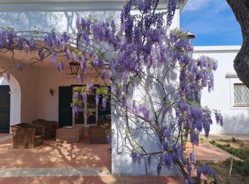 Villa Francesca - Camere con giardino