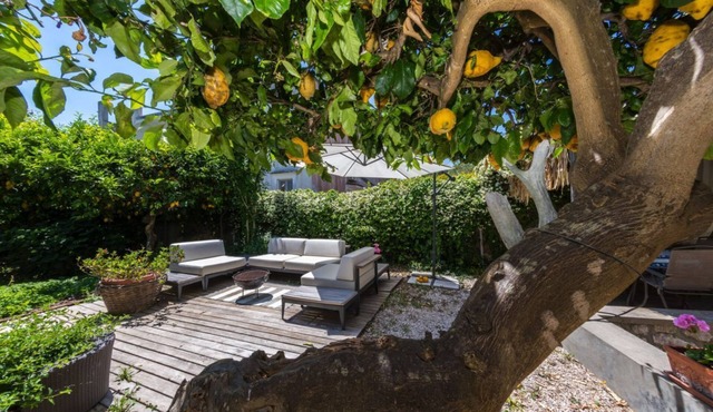 Villa Ninfea - Capri Garden Retreat
