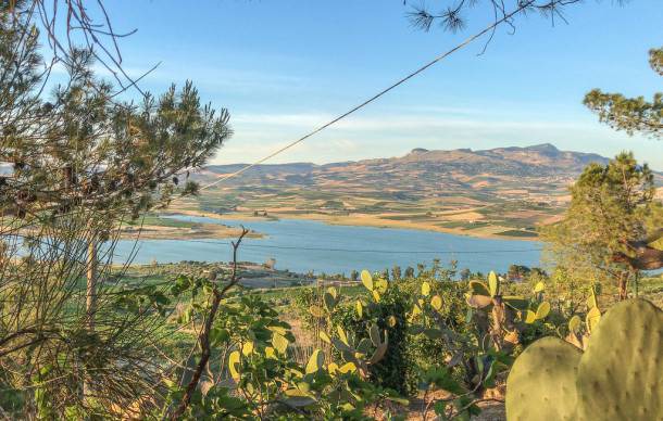 4 bedroom accommodation in Sambuca di Sicilia