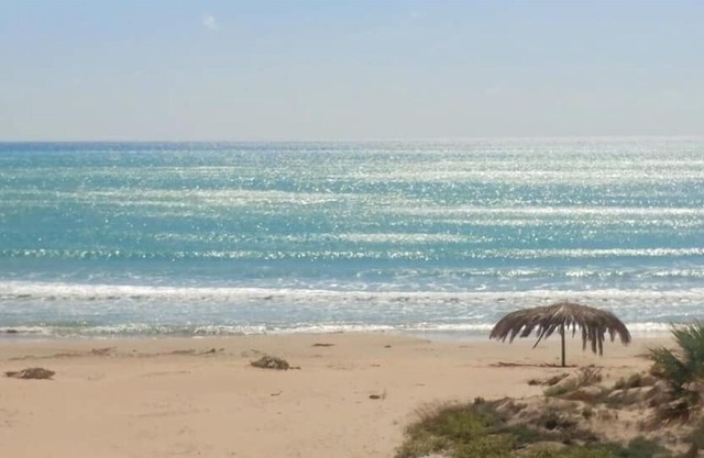 AL MARE, where to spend a holiday in contact with the sea