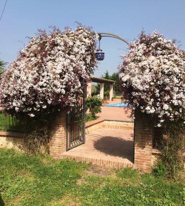 Apartments in Italy