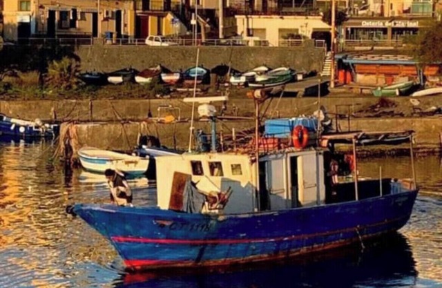 The Sea 