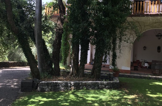 Domus Verdiana