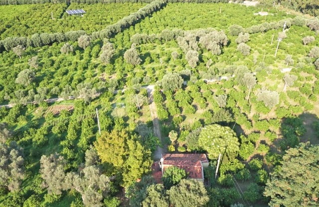 Farm holidays with pool in Sicily, among the Nebrodi's park and close to the sea