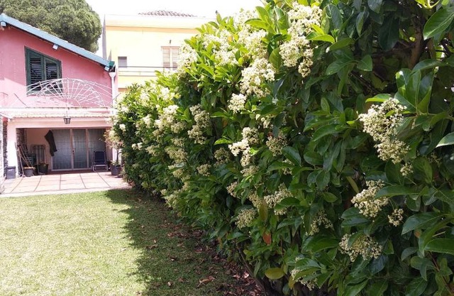Villa with garden near the sea, with wi-fi