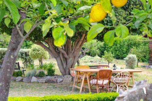 Torrenova House | 100 m² House ∙ 2 bedrooms ∙ 4 guests