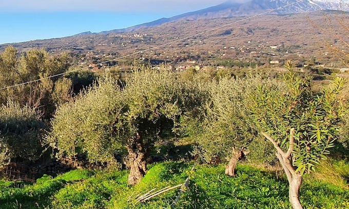 Piedimonte Etneo Resort | 100 m² Private room ∙ 1 bedroom ∙ 1 guest