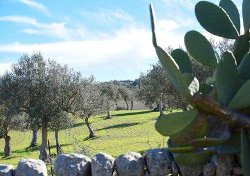 Ragusa House | 20 m² Farmhouse ∙ 1 bedroom ∙ 4 guests