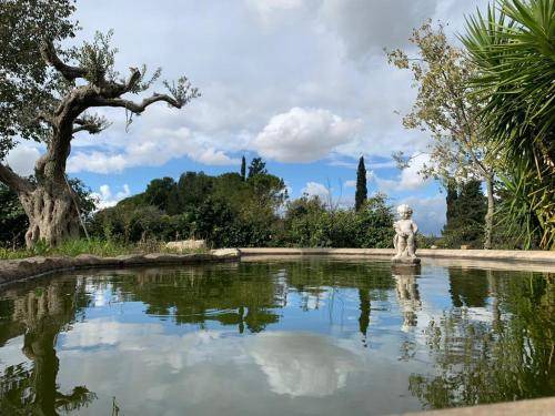 Chiaramonte Gulfi Bed & Breakfast | 25 m² Bed and breakfast ∙ 3 guests