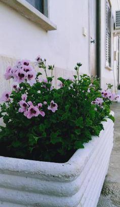 Birgi Vecchi House | 60 m² House ∙ 2 bedrooms ∙ 4 guests