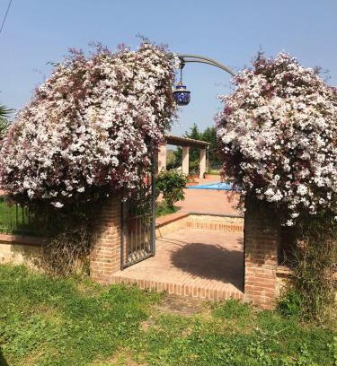 Grammichele Apartment | Apartments in Italy