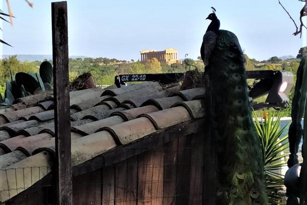Agrigento House | B&B Villa San Marco