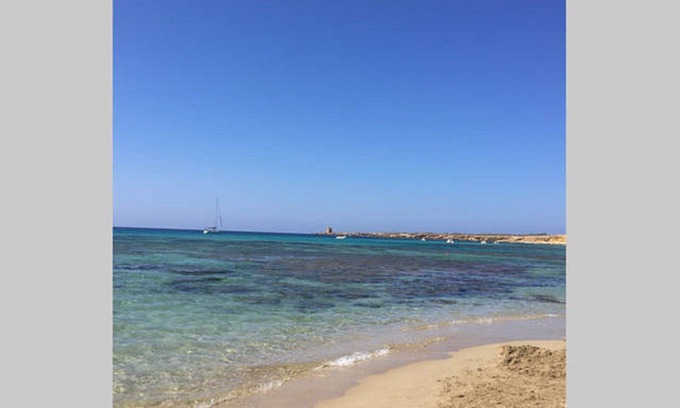 Terrasini Villa | Beautiful property with organic land near the sea