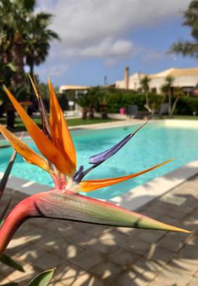 Fontanasalsa House | Borgo Pida