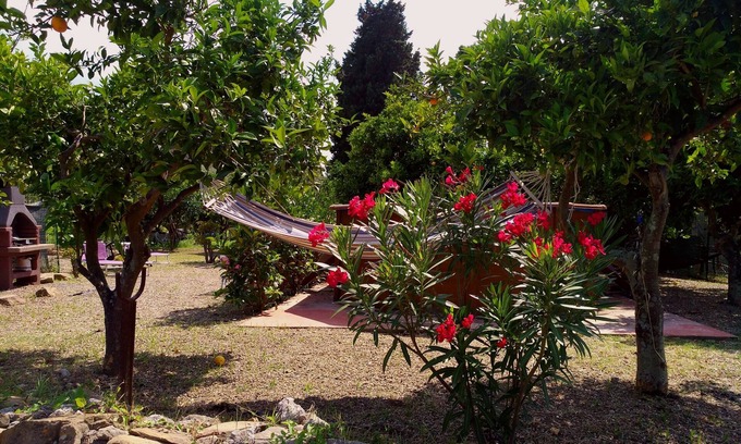 Patti Other | Country house surrounded by olives & lemons. Near the sea. Private boat trips bookable
