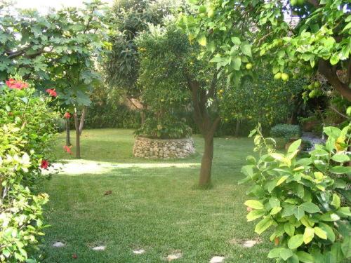 Avola House | villa Palma