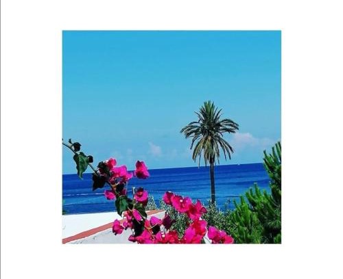 Lingua Bed & Breakfast | Villino Miraglia