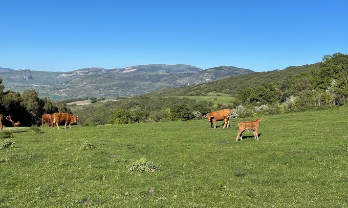 Contessa Entellina House | Vrbo Property