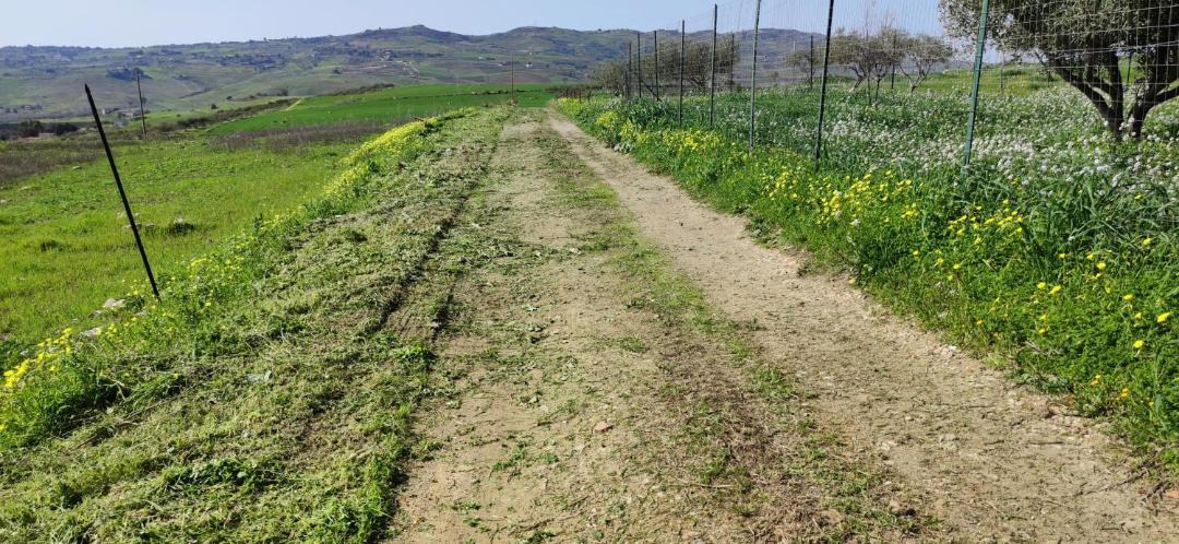 Ioppolo Giancaxio Bed & Breakfast | B&B Della Via Francigena