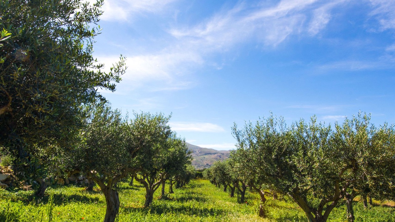 Photo of Outdoor in Castellammare del Golfo