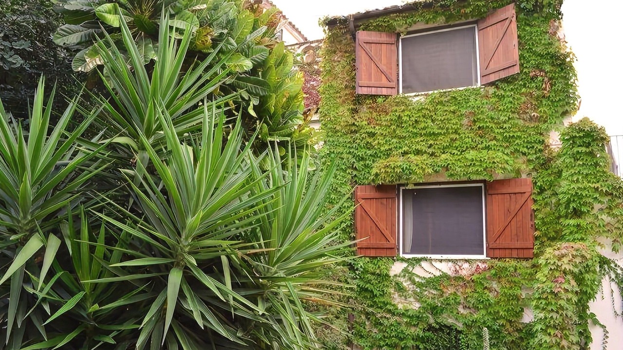 Photo of Buildings in Belvedere