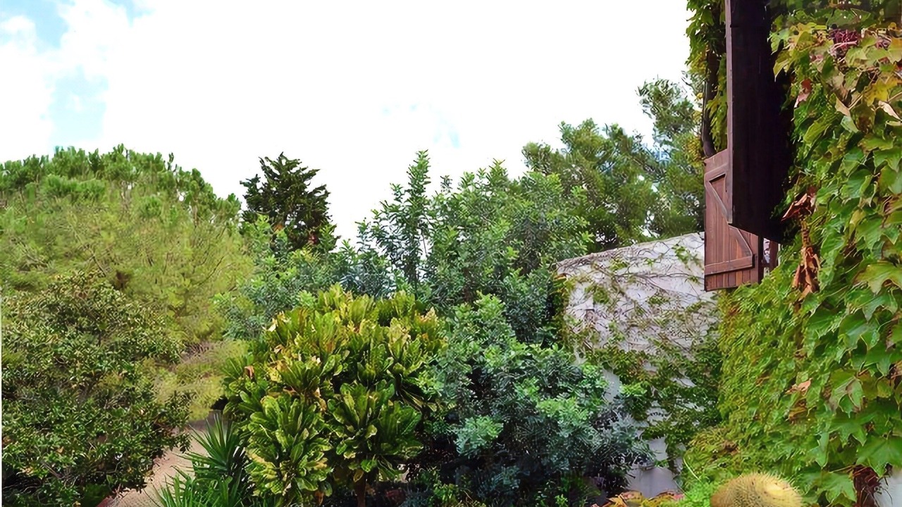 Photo of Others in Belvedere