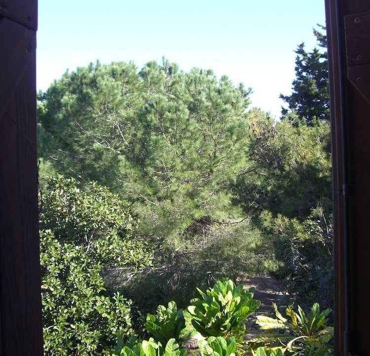 Photo of Others in Belvedere