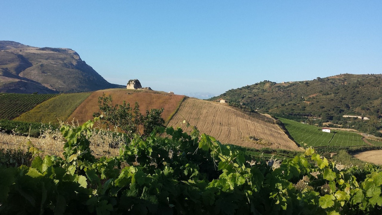 Photo of Outdoor in Calatafimi