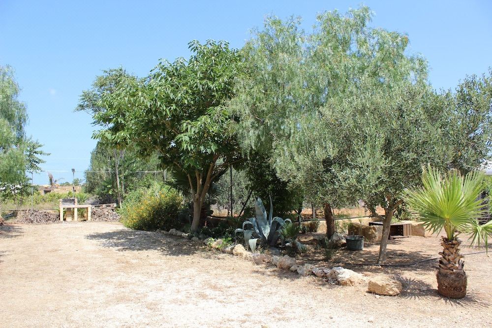 Photo of Others in Marsala