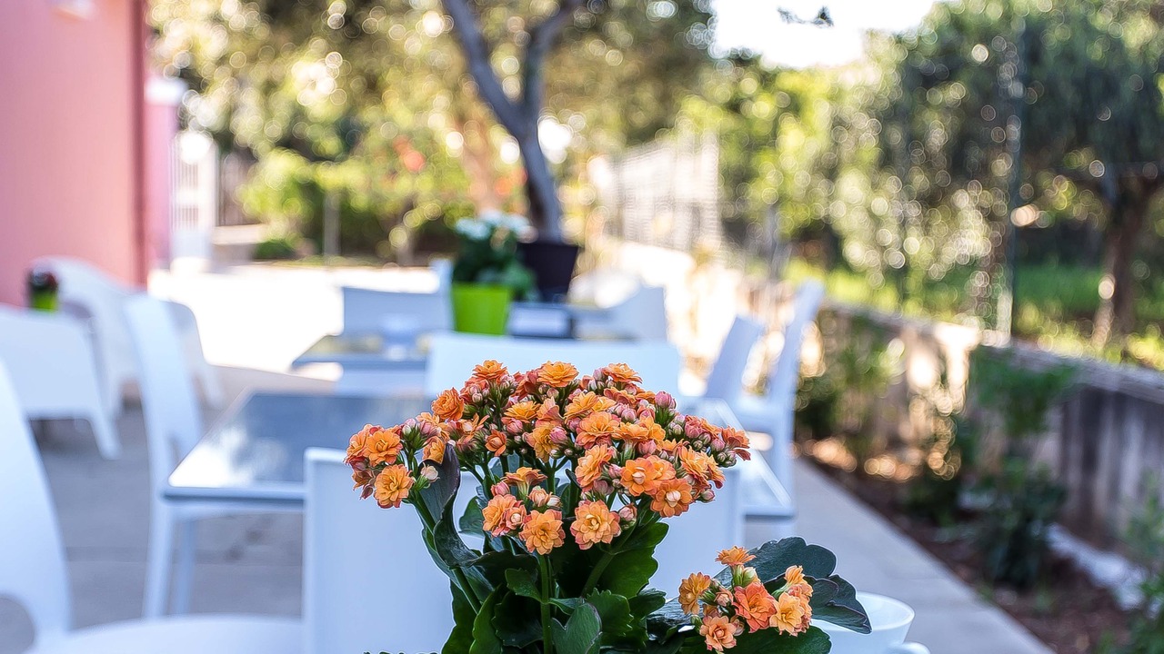 Photo of Patio Balcony in Terrasini