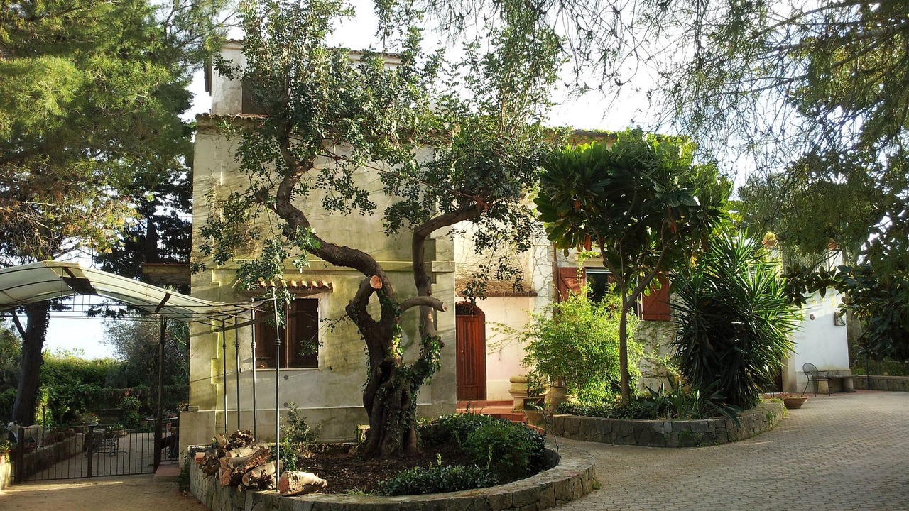 Photo of Buildings in Belvedere