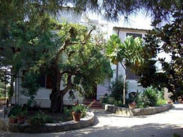 Photo of Buildings in Belvedere