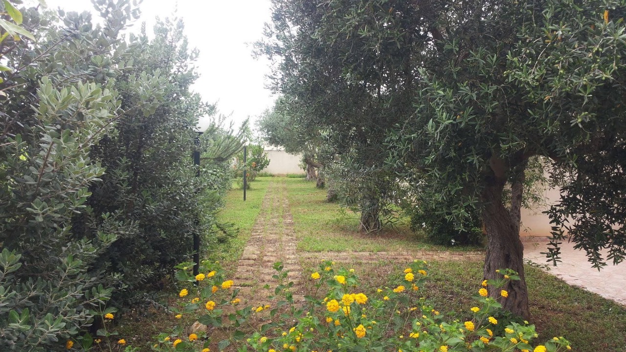 Photo of Outdoor in Marsala