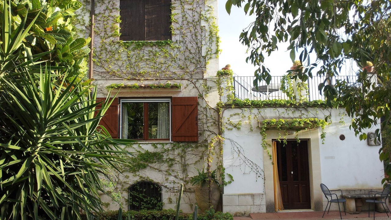 Photo of Buildings in Belvedere