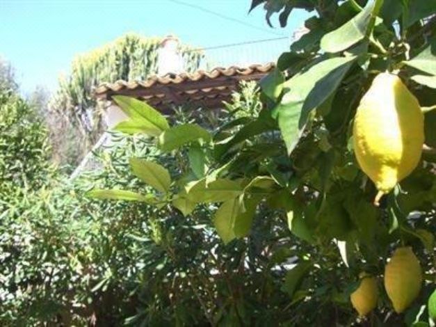 Photo of Outdoor in Belvedere