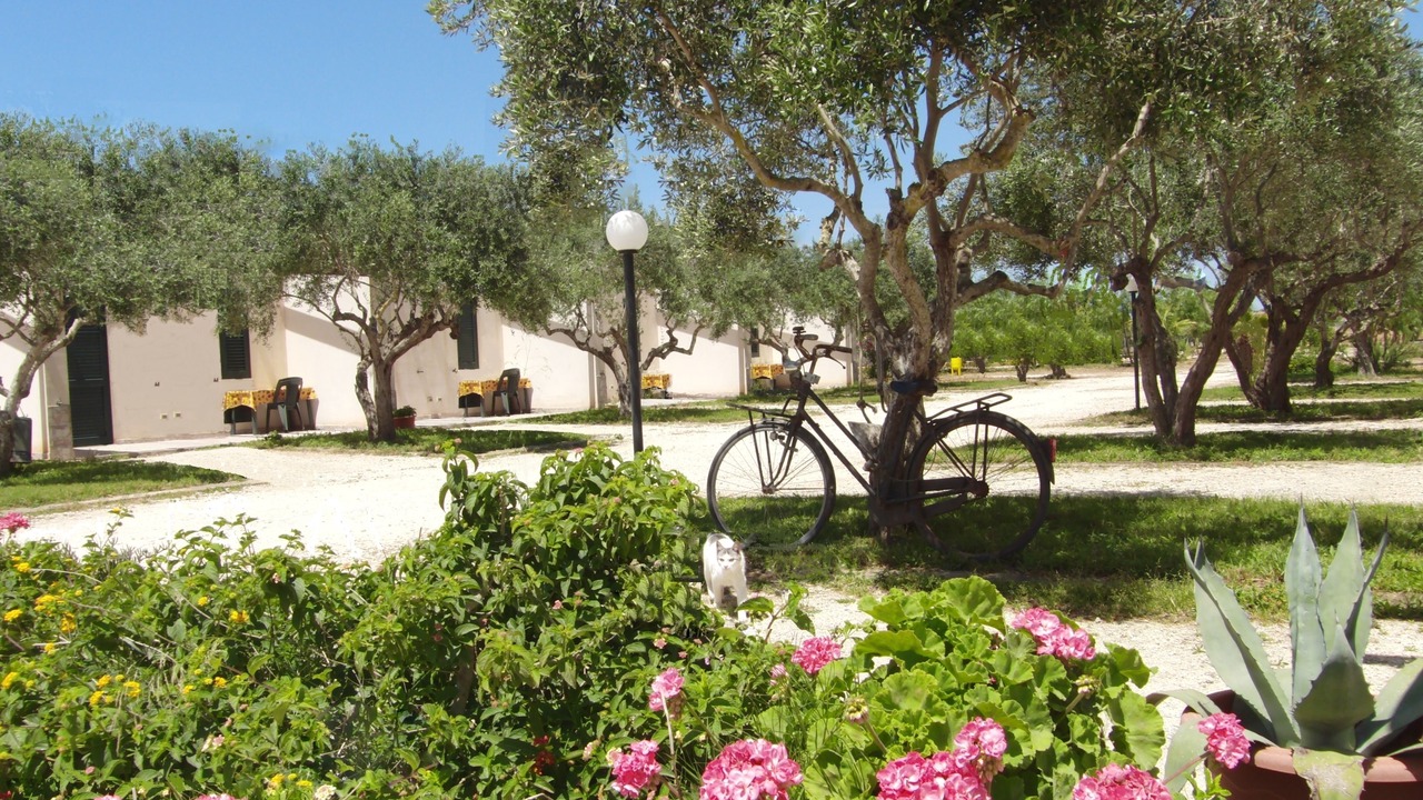 Photo of Others in Marsala