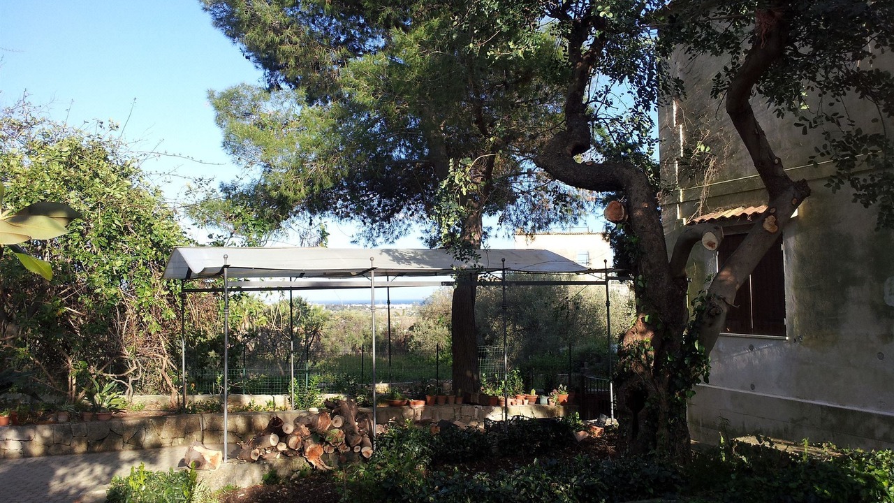 Photo of Buildings in Belvedere