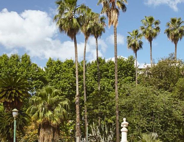Photo of Others in Palermo